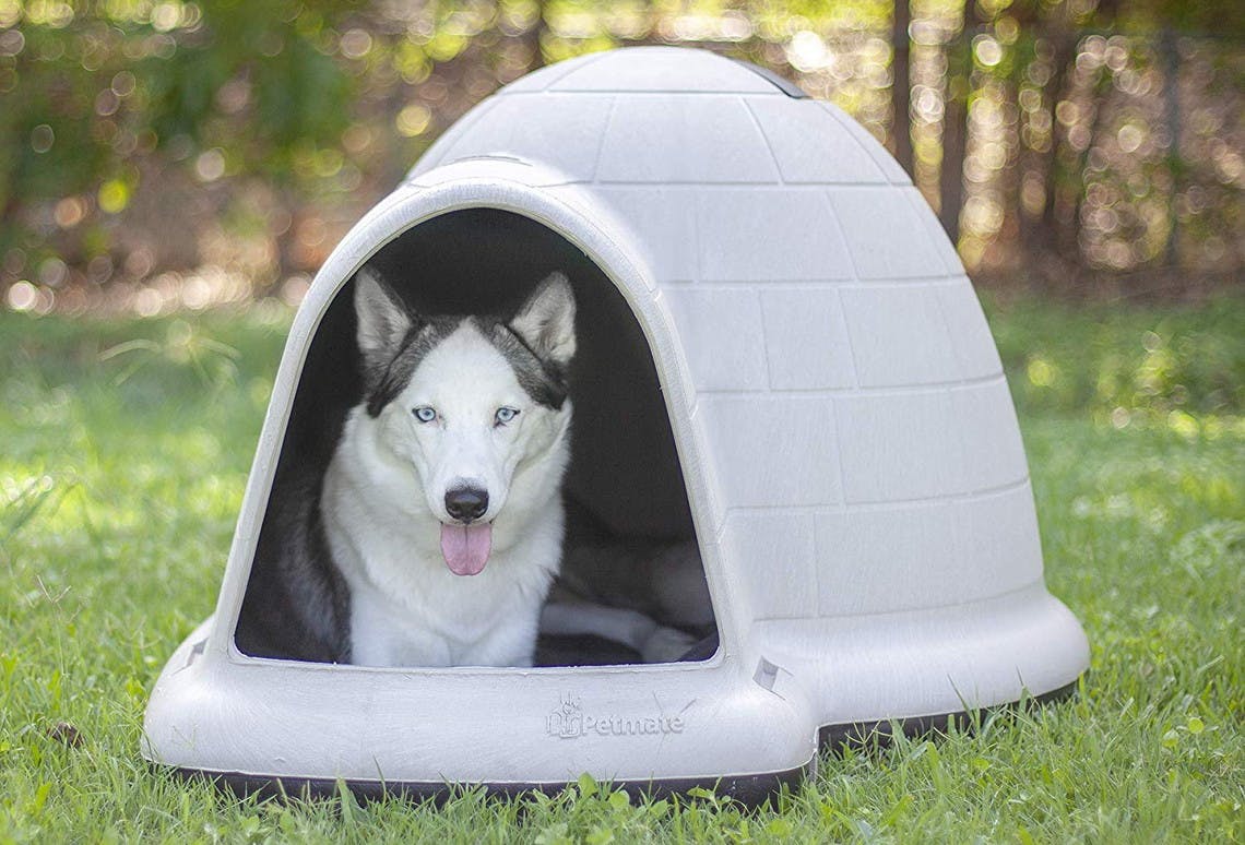 walmart dog igloo house