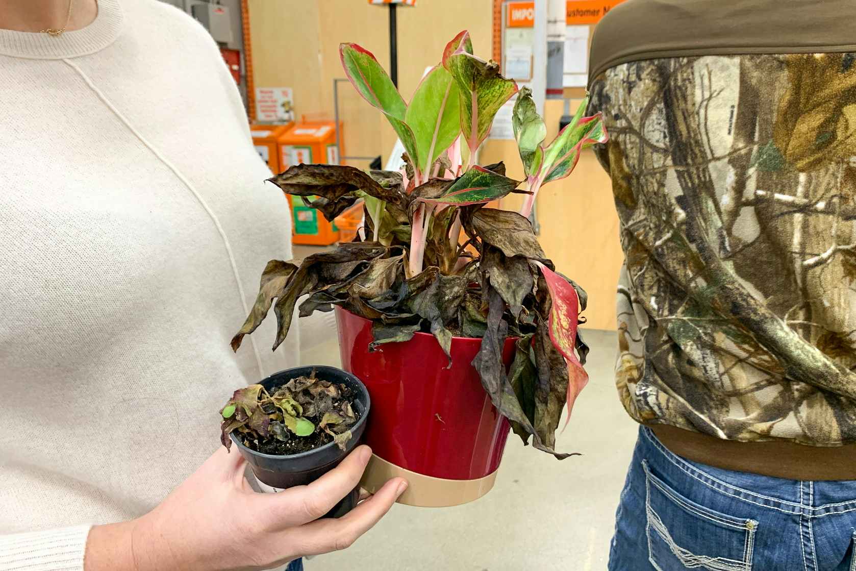 A woman holding dead plants to return.