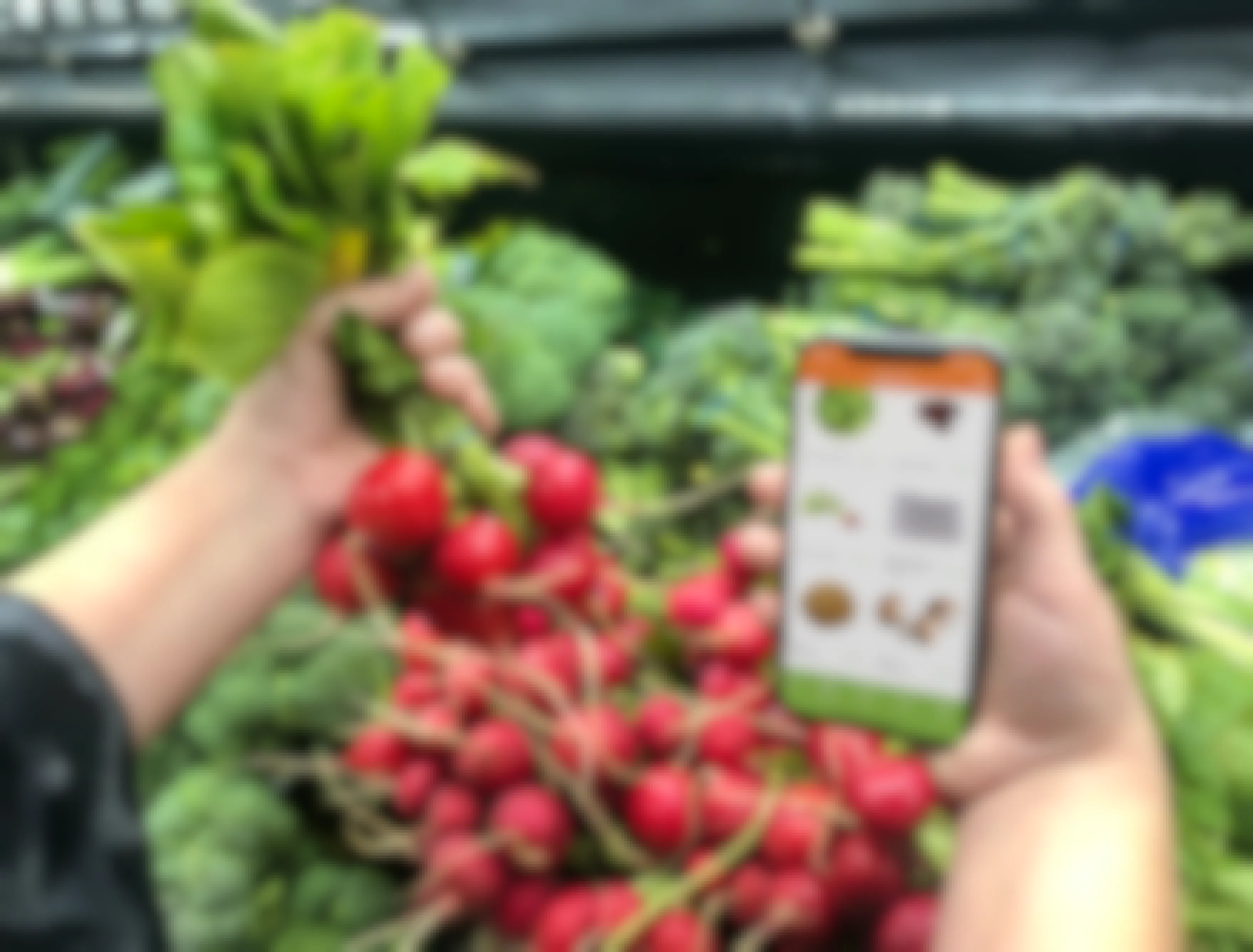A woman holding a phone with the Makeena app in one hand and radishes in the other.