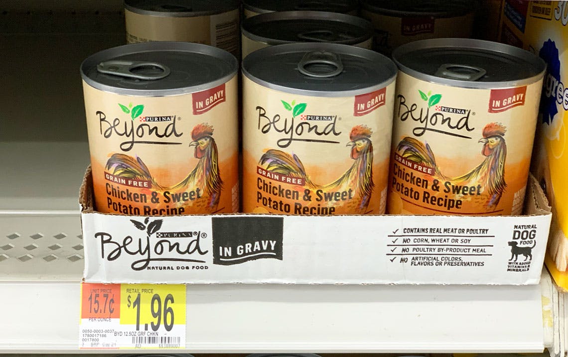 purina beyond wet dog food walmart