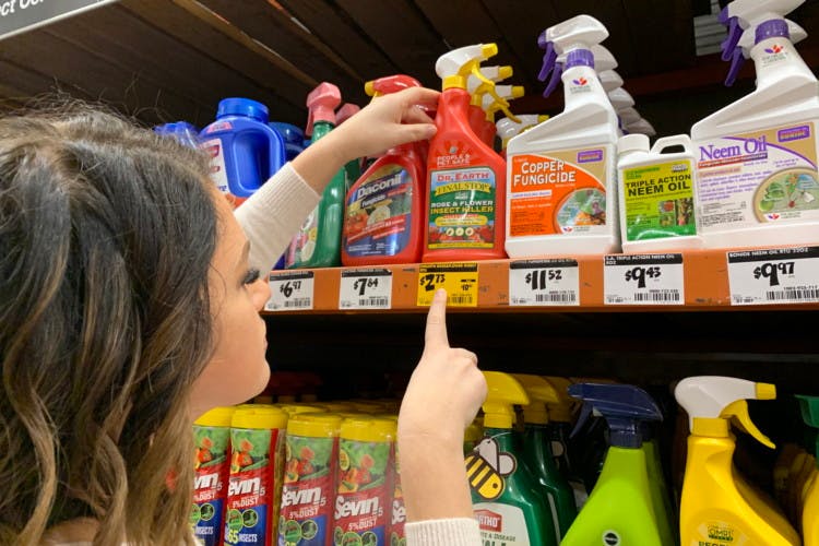 Home Depot Price Match - The Krazy Coupon Lady