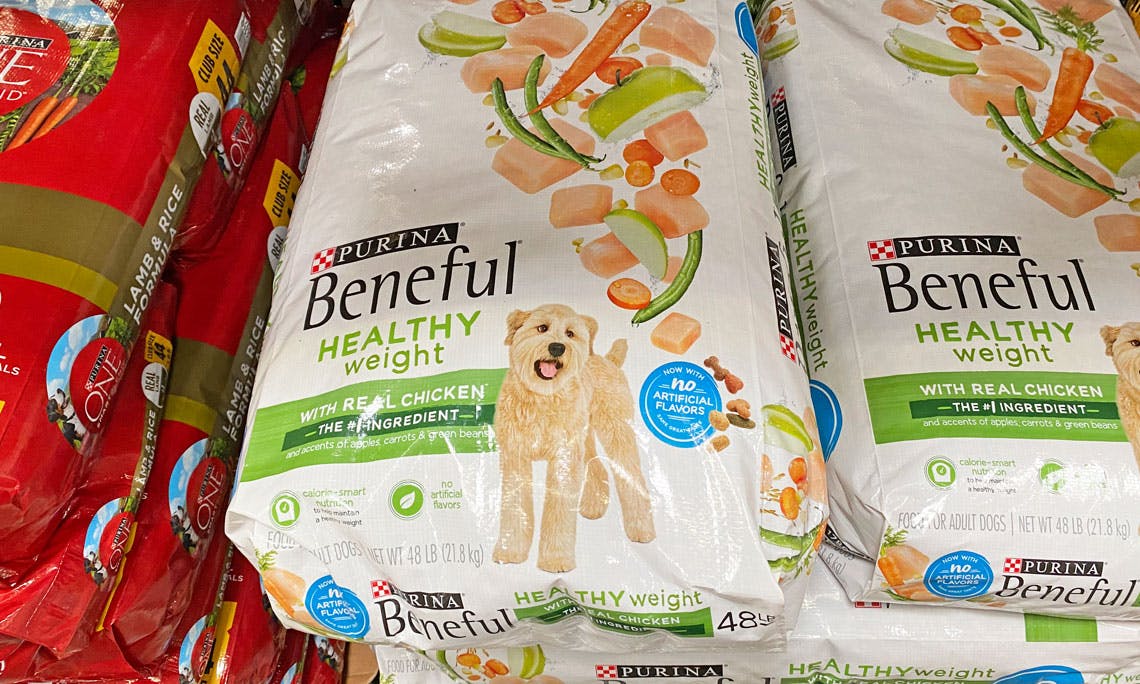 sam's club beneful dog food