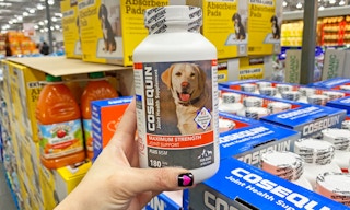 cosequin costco 2 5 1580927261