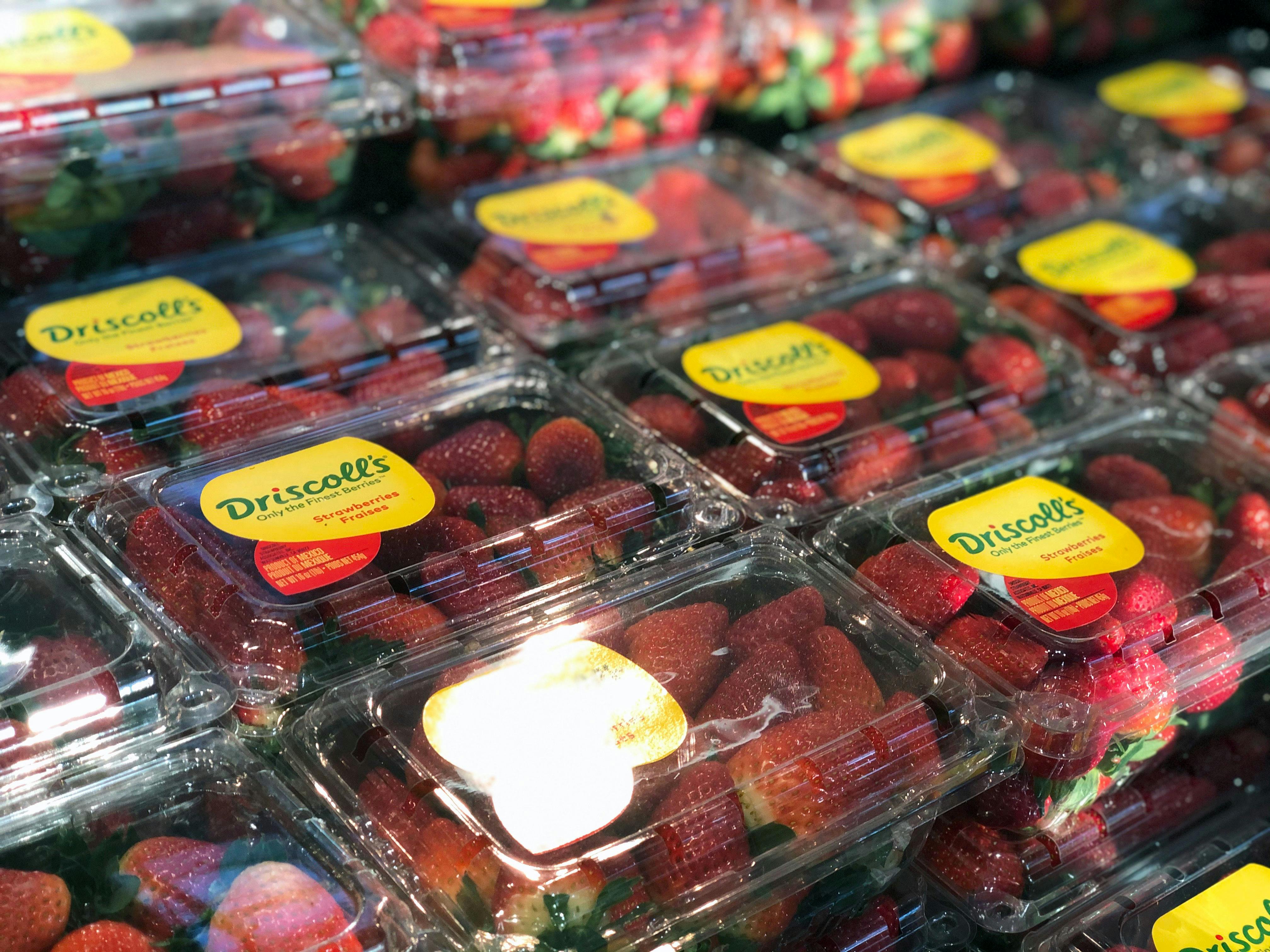 WinnDixie Coupons The Krazy Coupon Lady