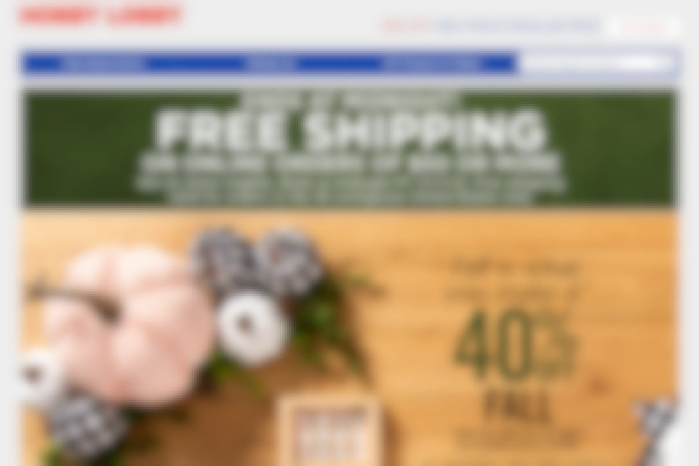 A screen shot of Hobby Lobby's home page featuring a free shipping offer.