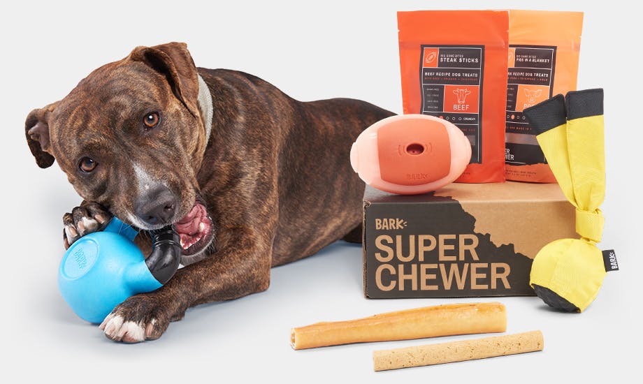 super chewer barkbox coupon