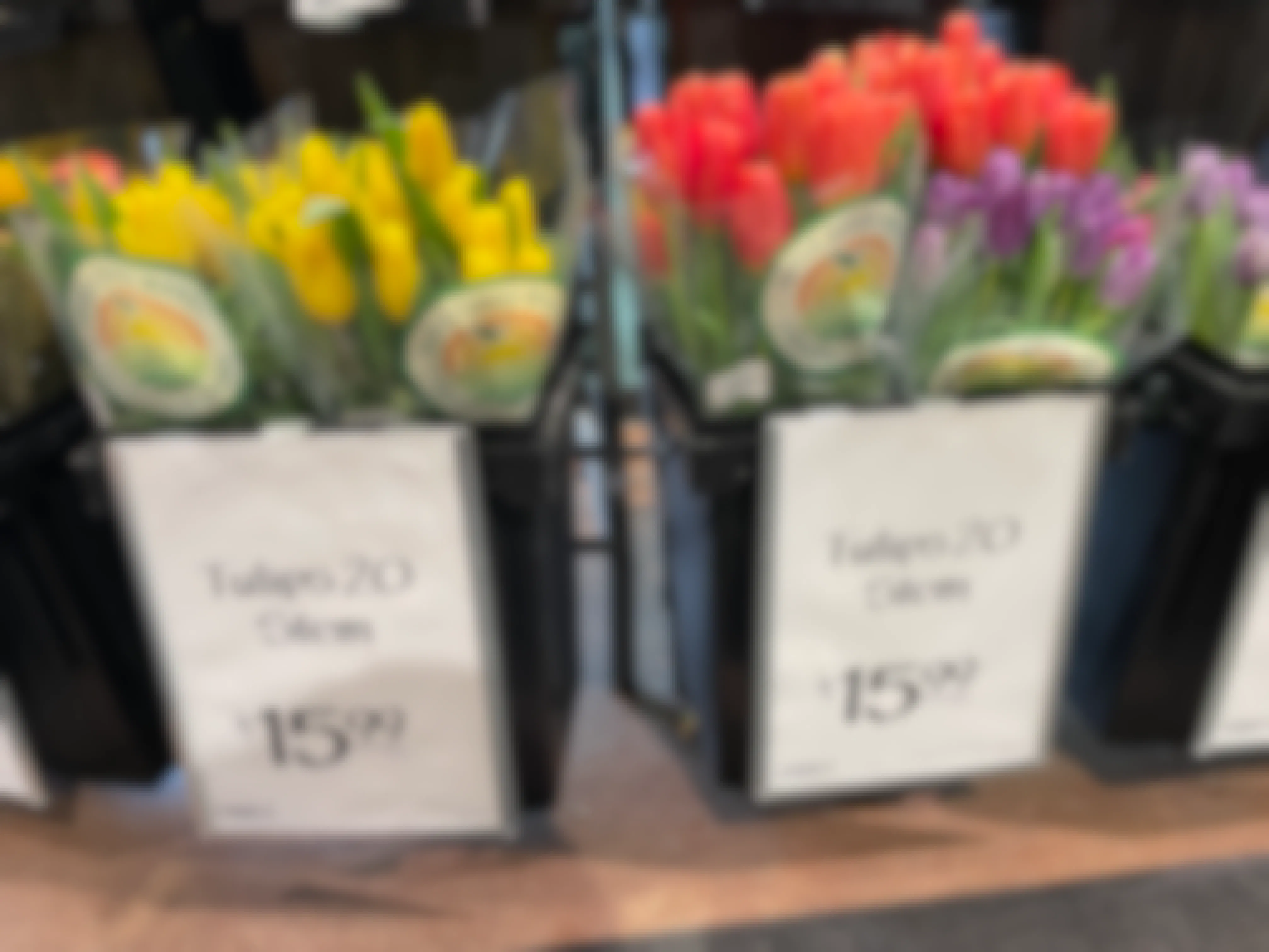 Tulips on display in a store