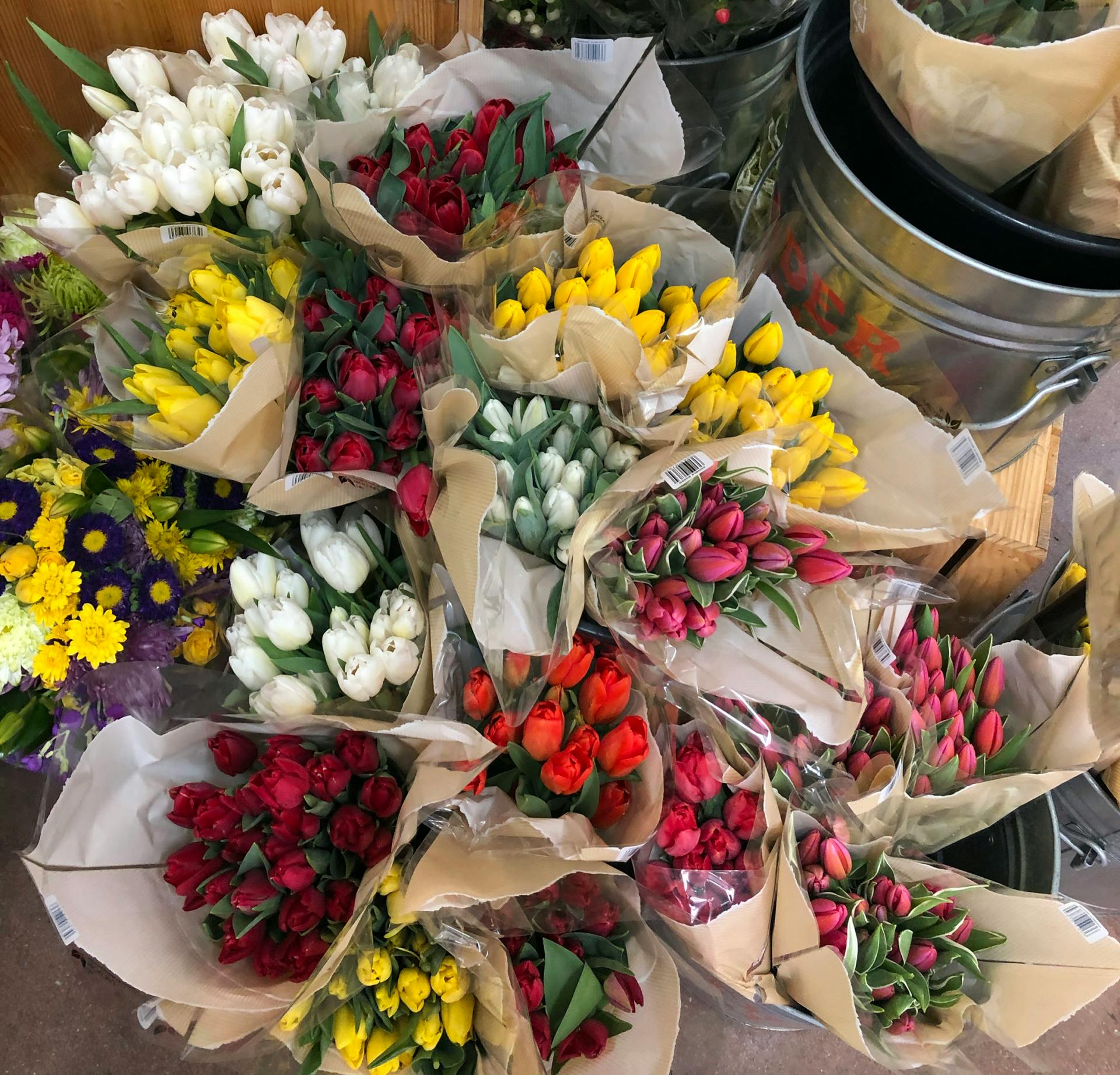Bird's eye view of bunches of tulips in various colors.
