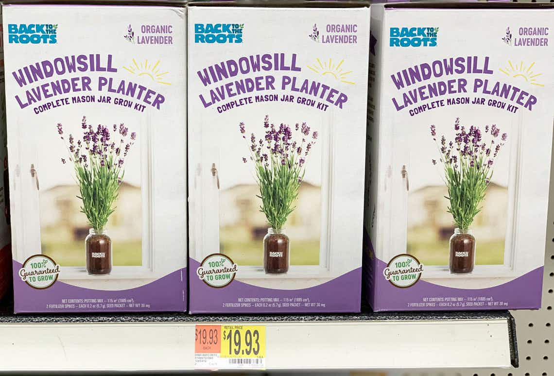 walmart-back-to-the-roots-grow-kit-2220b