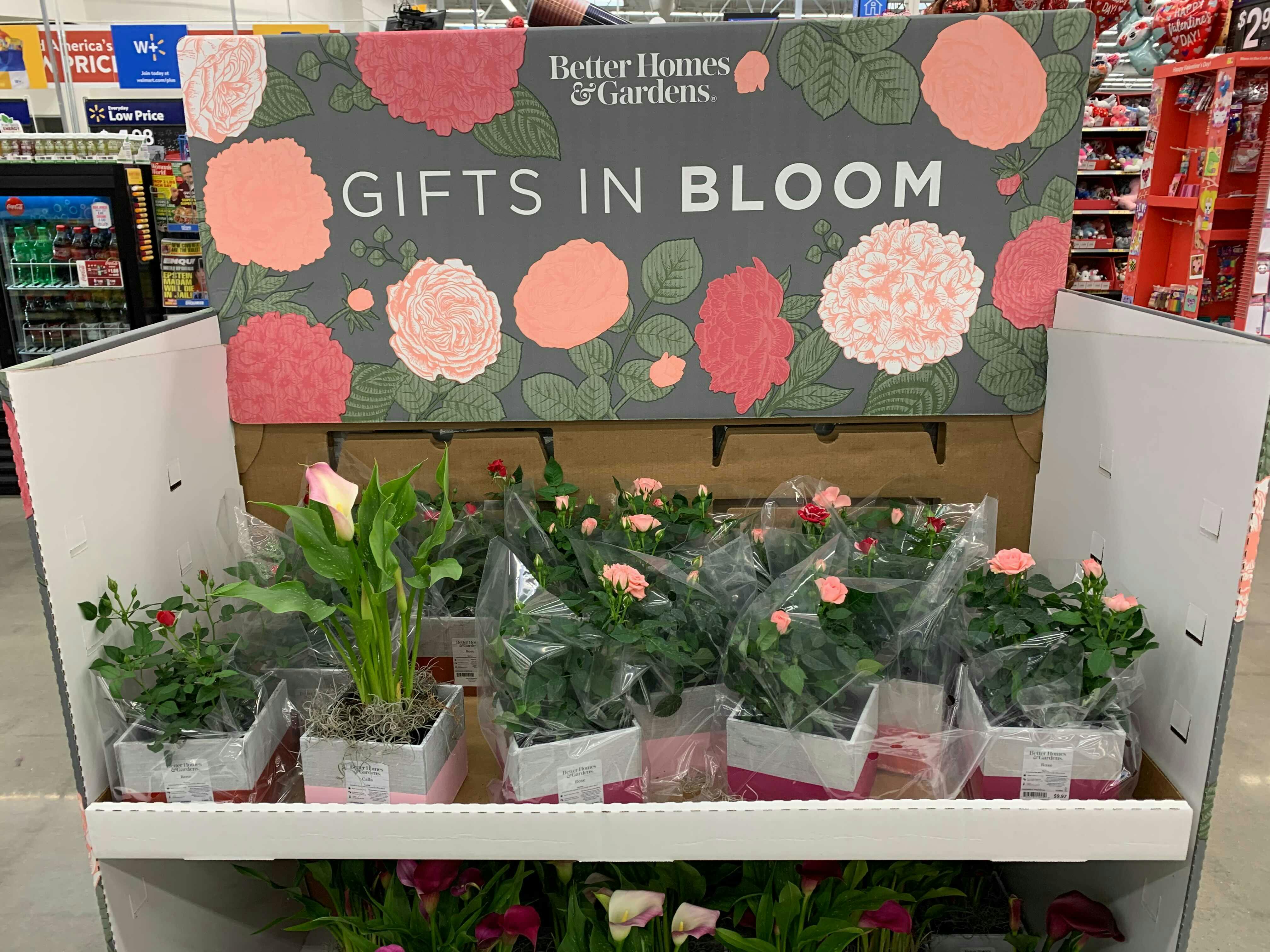 Where To Buy Valentine S Day Flowers For Cheap The Krazy Coupon Lady