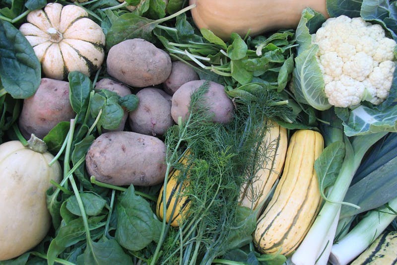 potatoes, squash, spinach, and other veggies