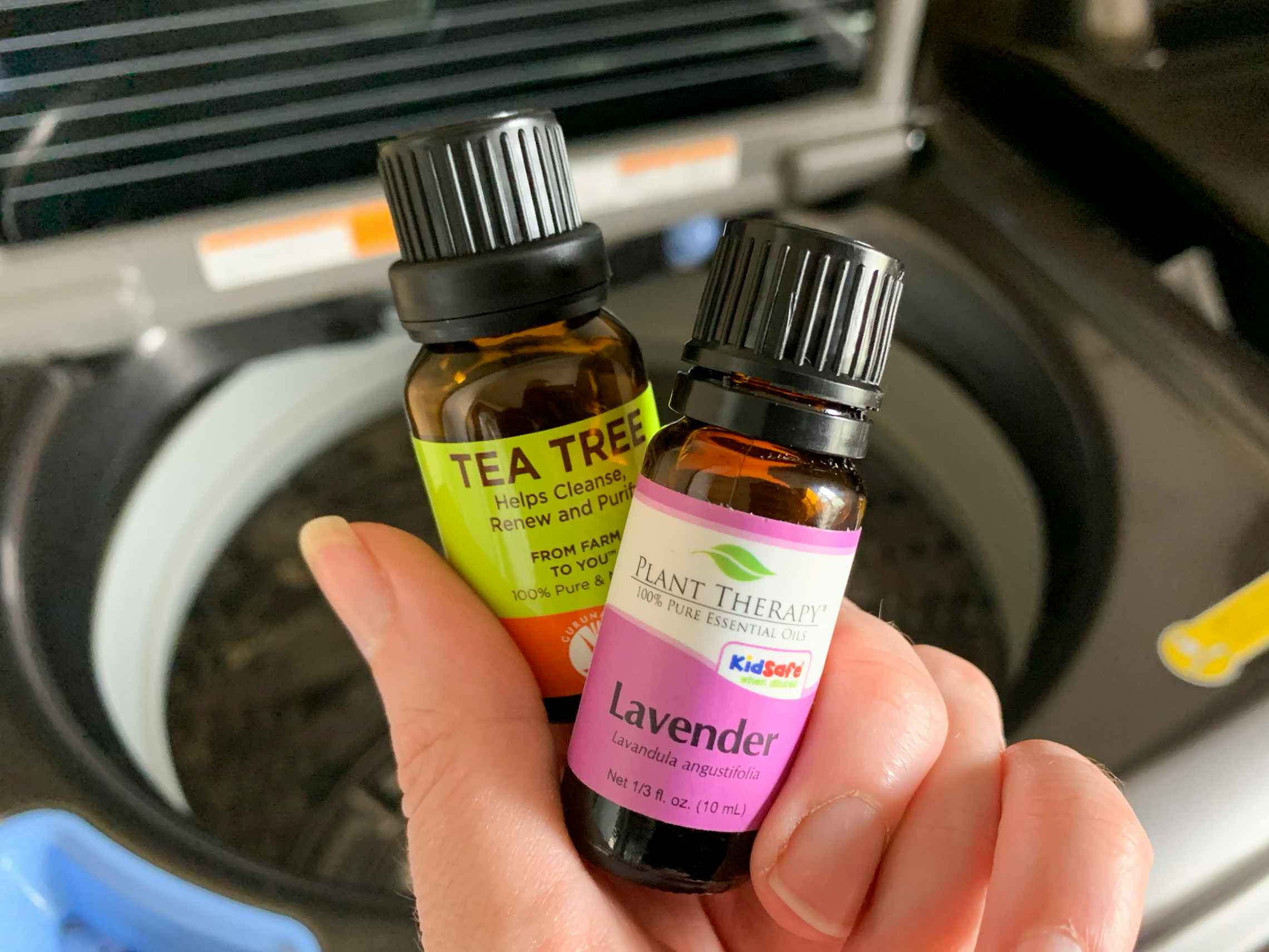 Tea Tree and Lavender essential oil bottles in front of a washing machine.
