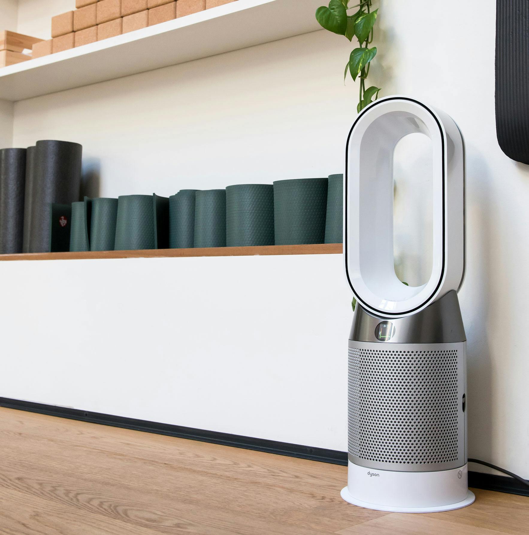 dyson fans on sale in best buy