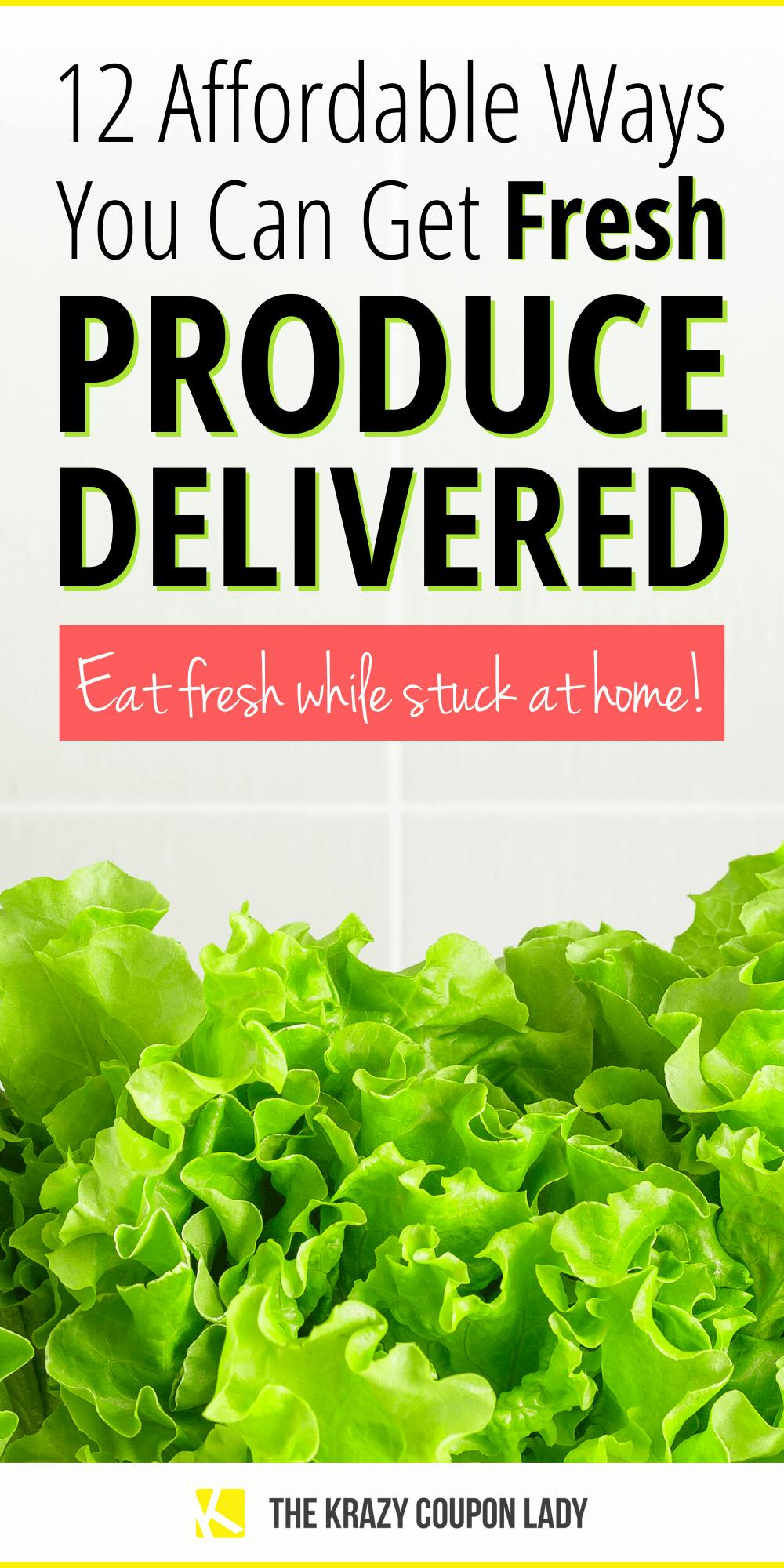 12 Affordable Ways to Get Fresh Produce Delivery