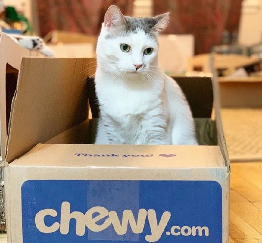 Take Up To 30 Off Your First Order On Chewy Com The Krazy