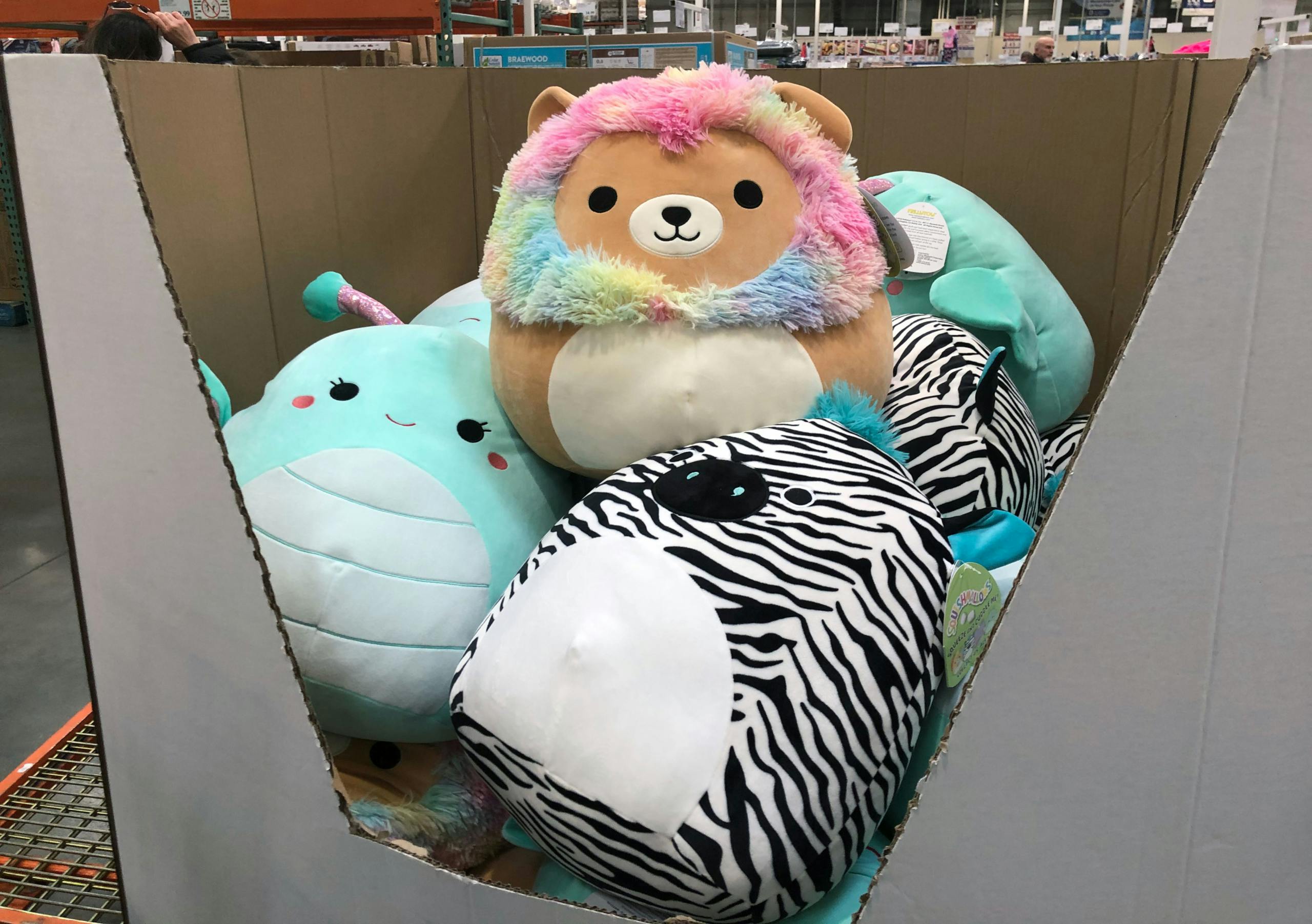 costco squishmallow 2019