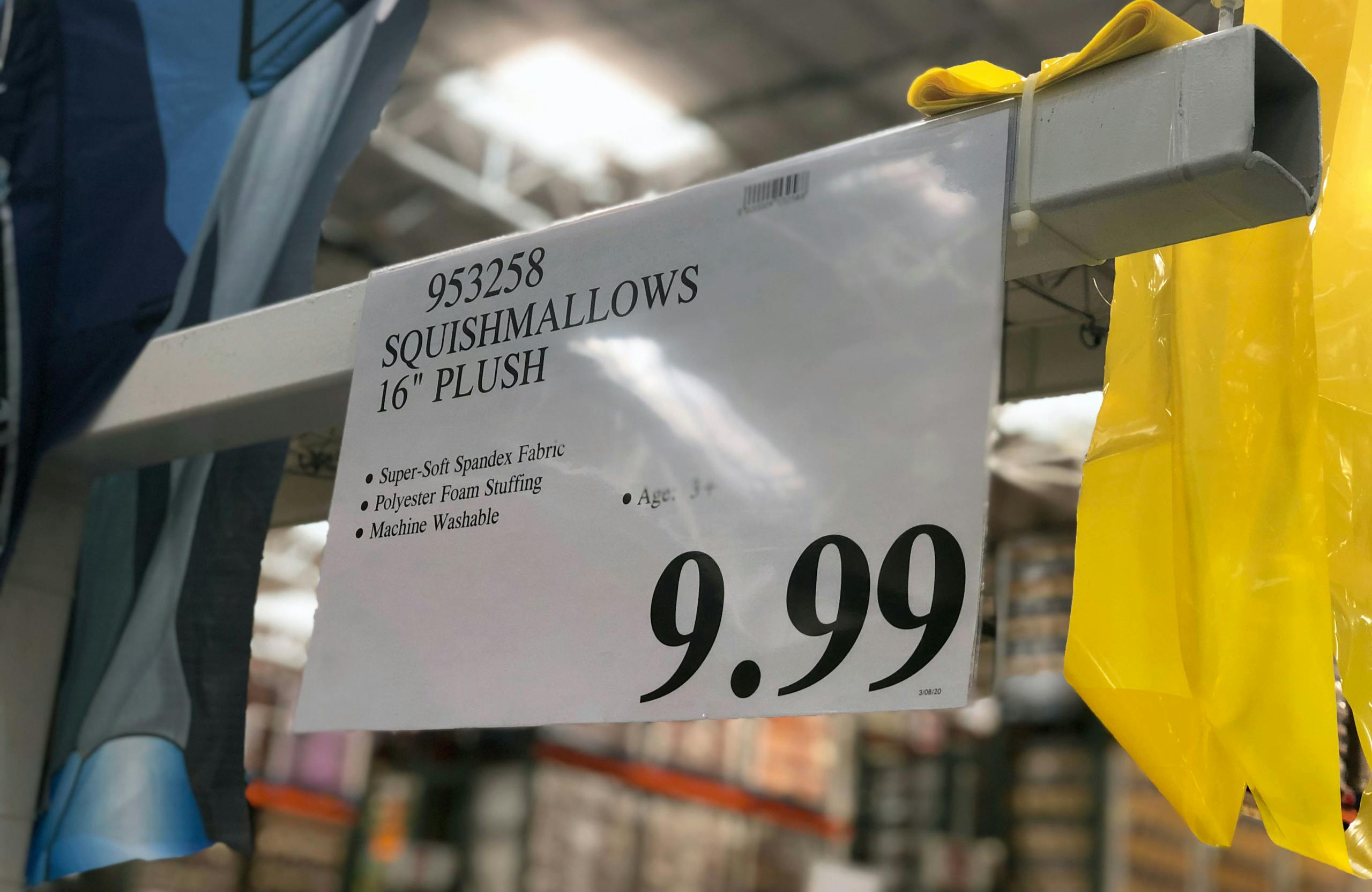 coupon for squishmallows