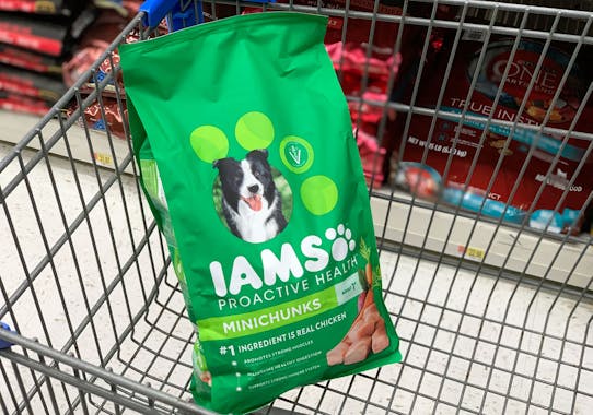 what dog food is like iams