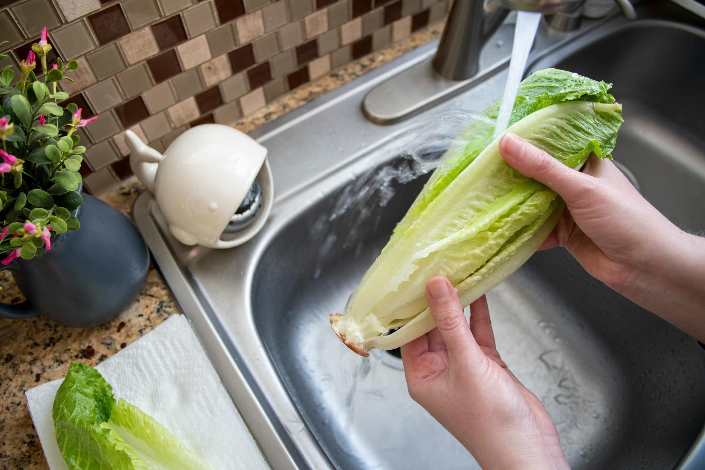 Romaine lettuce being washed over a kitchen sink.