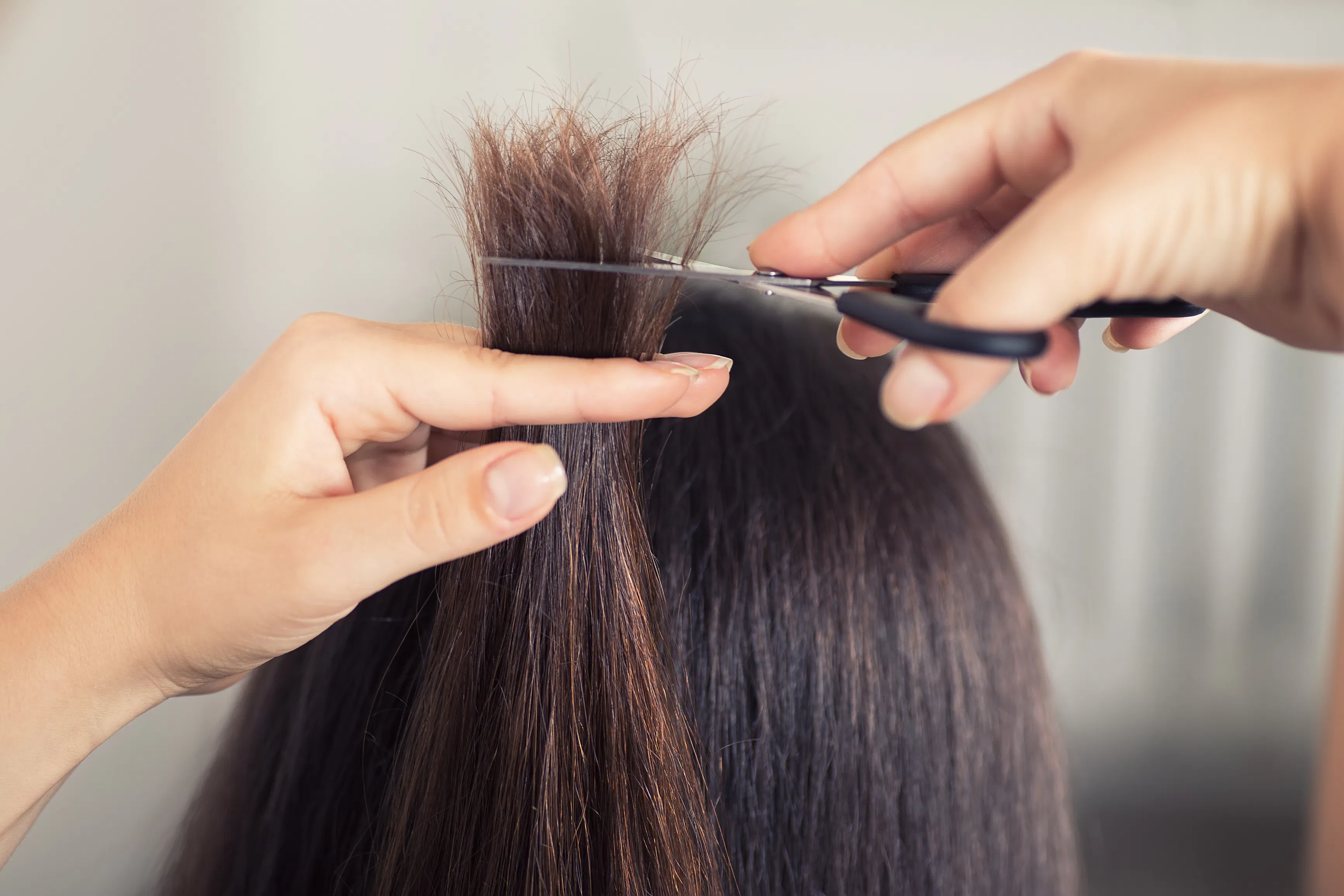 A person using scissors to cut the ends of someone's hair.