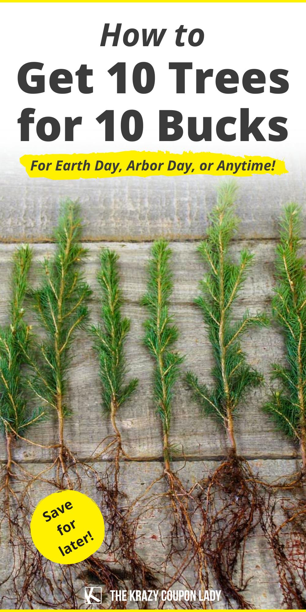 Get 10 Trees for $10 on Arbor Day (or Whenever)