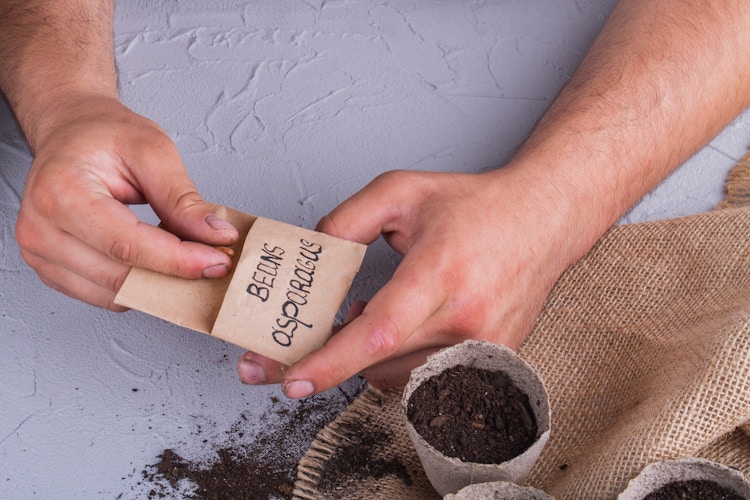 Man opening a packet of seeds and tossing into soil