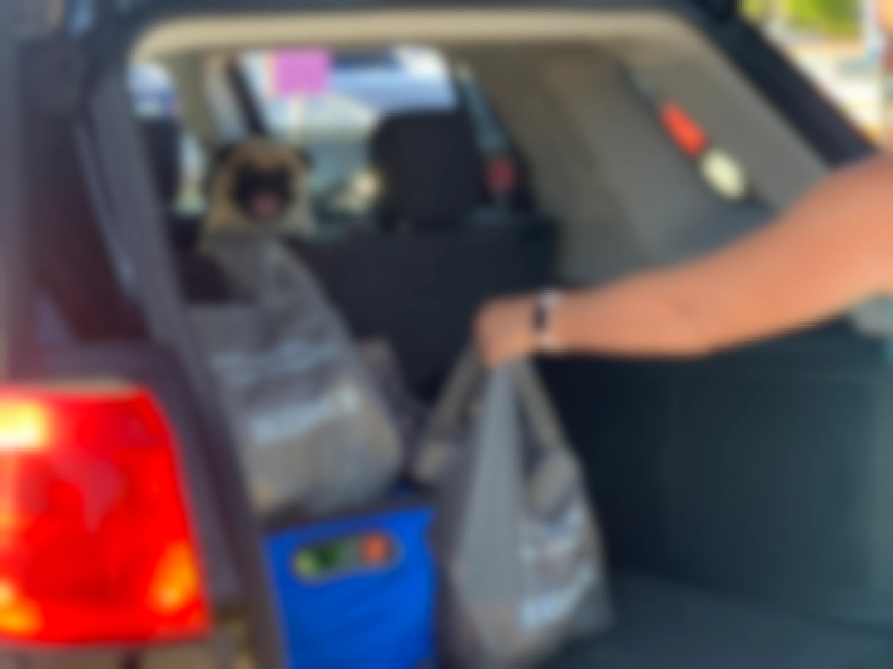 Pug dog peeking over back seat as a woman puts kohls bag inside the back trunk of a midsize suv