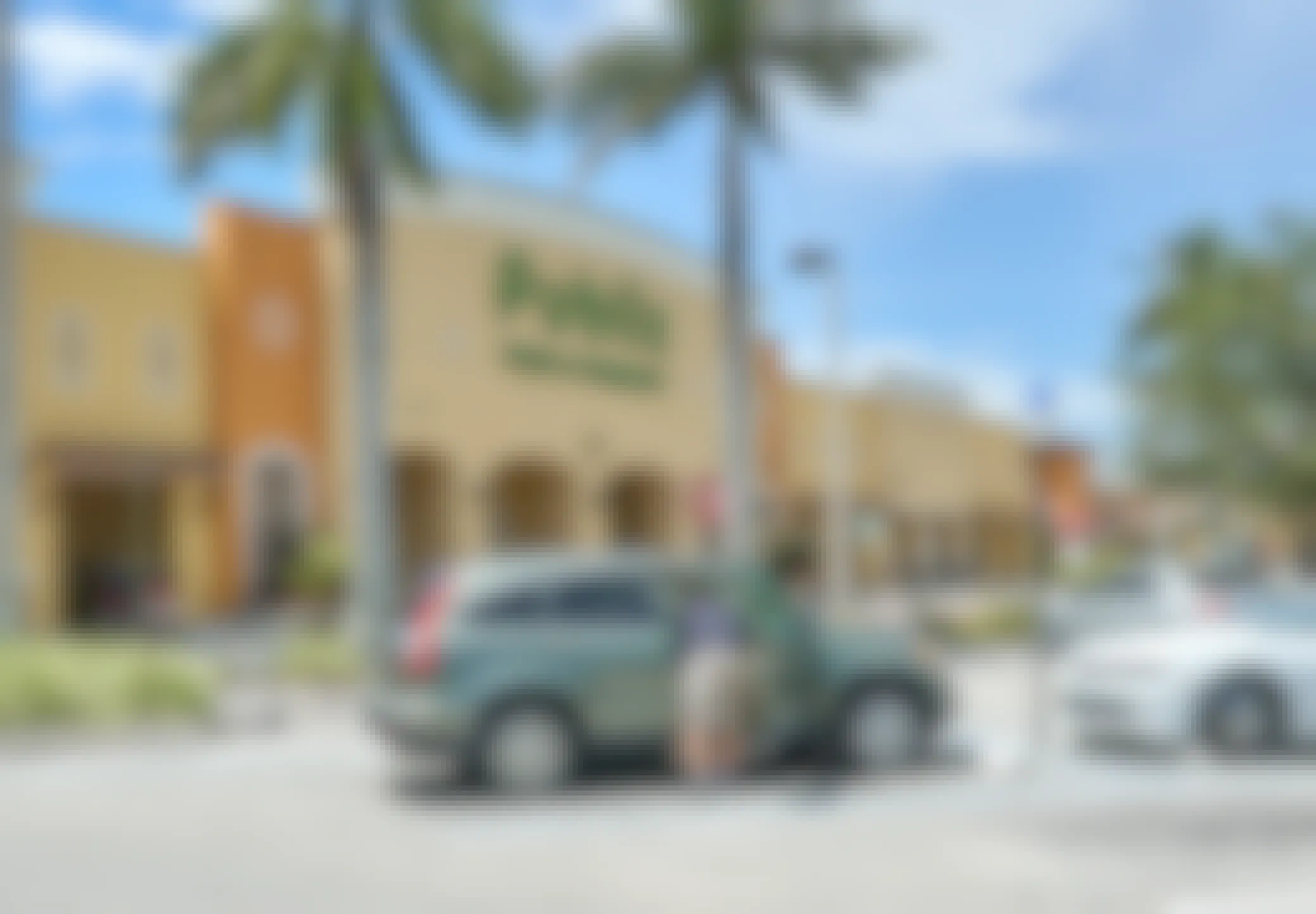 person near crossover vehicle in publix store parking lot