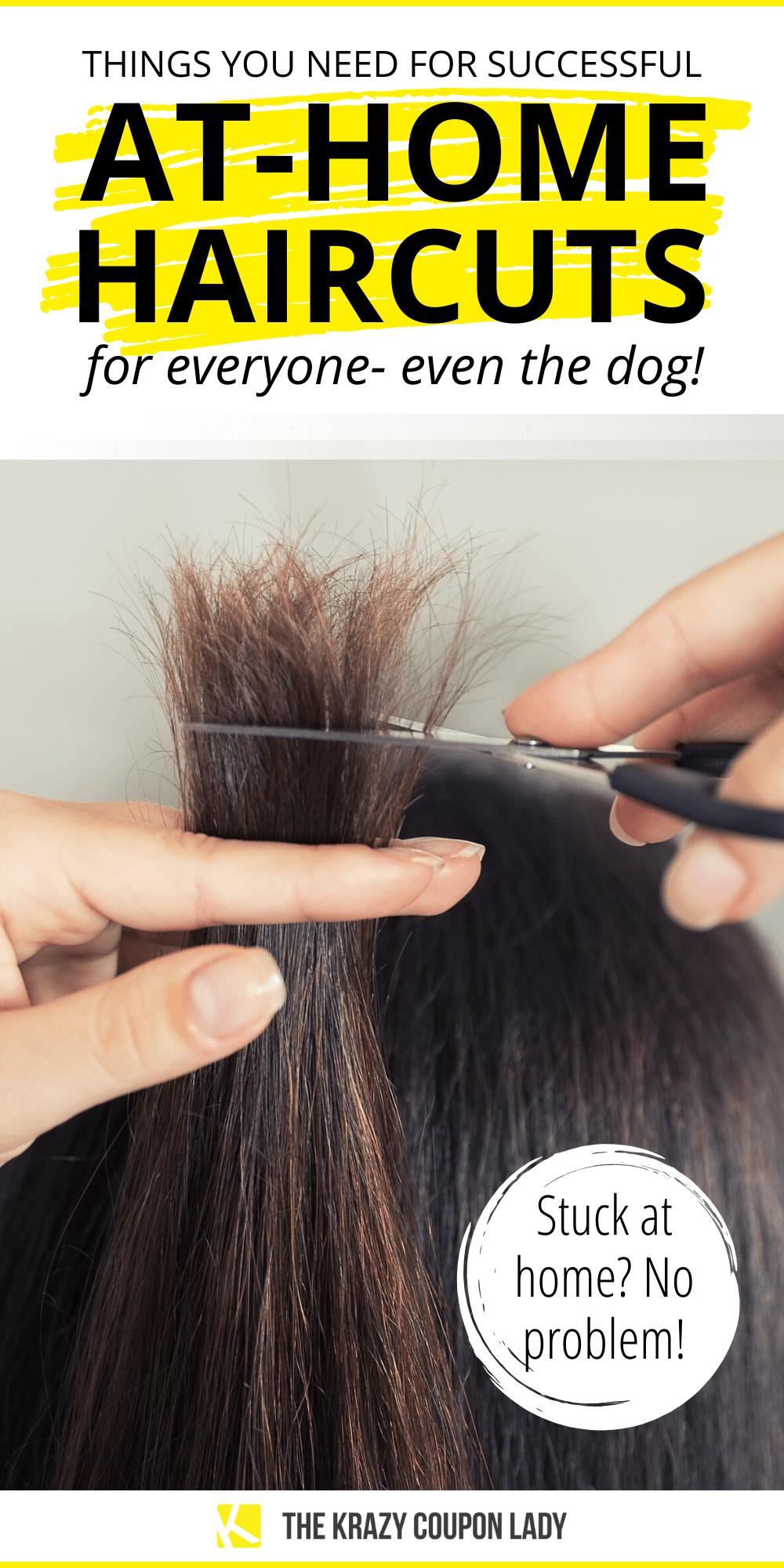 4 Home Haircuts for Everyone...Even the Dog or Cat