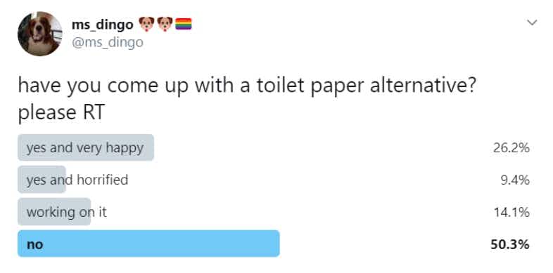 A social media poll from Twitter on toilet paper alternatives. 