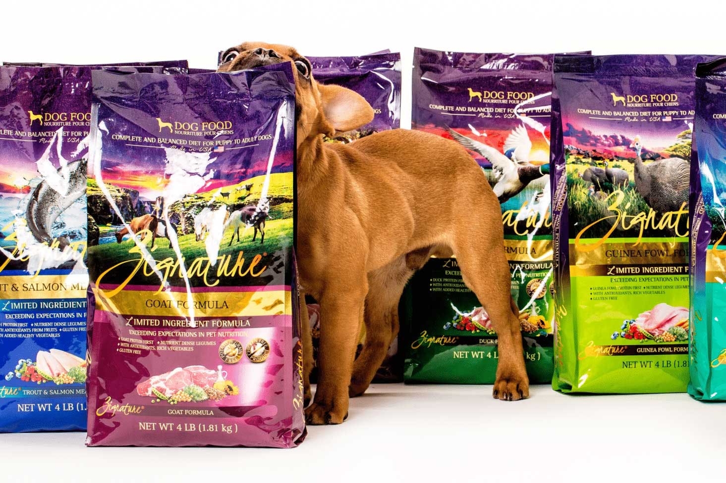 zignature dog food sale