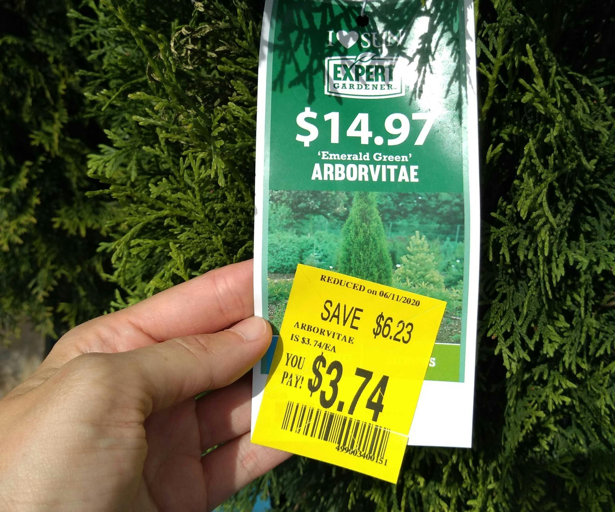 75 Off Plant Clearance at Walmart Check Your Store