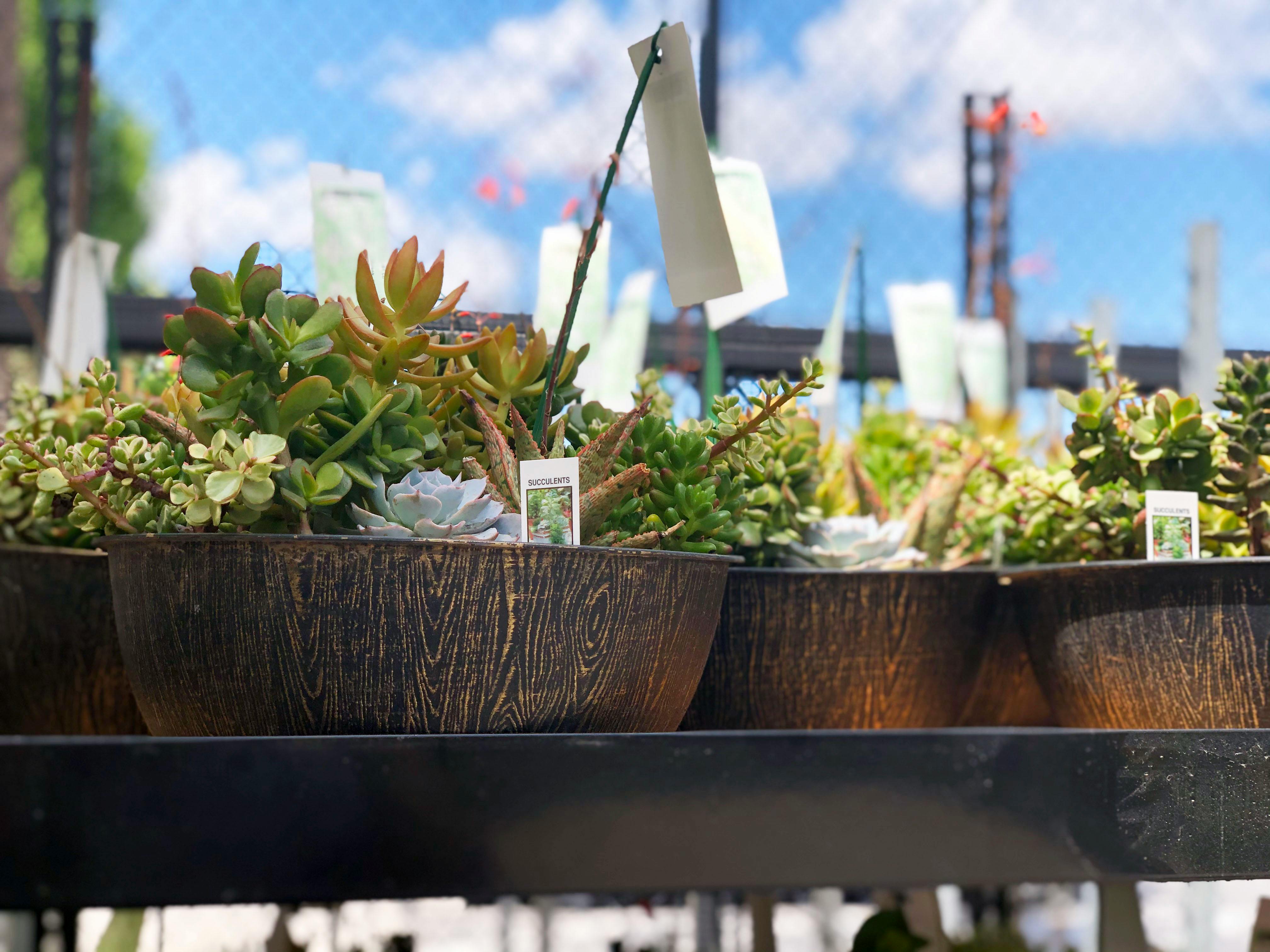 Costco Wholesale Planter Box