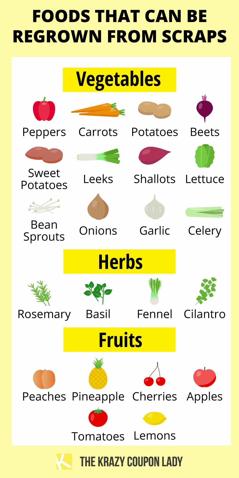 chart showing which fruits and veggies can be grown from scraps