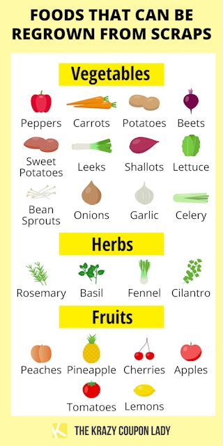 chart showing which fruits and veggies can be grown from scraps