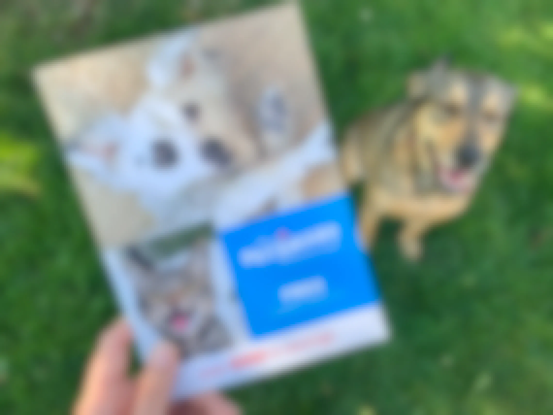 someone holding petsmart adoption starter kit coupon in front of dog