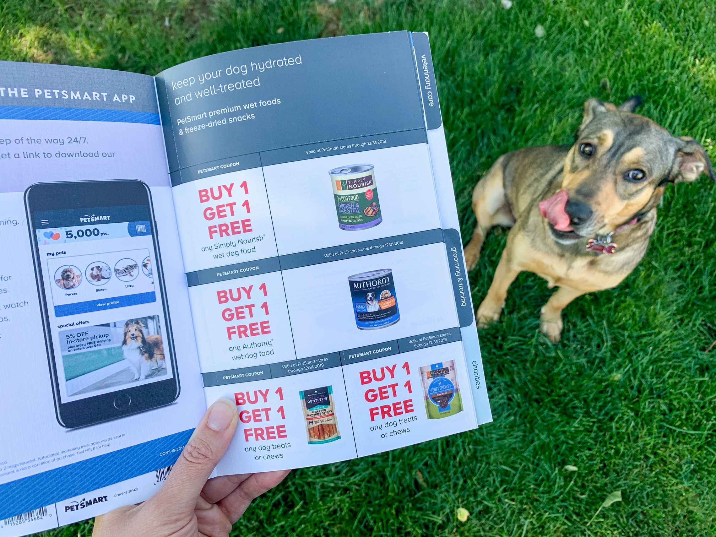 someone holding Petsmart coupons in front of a dog