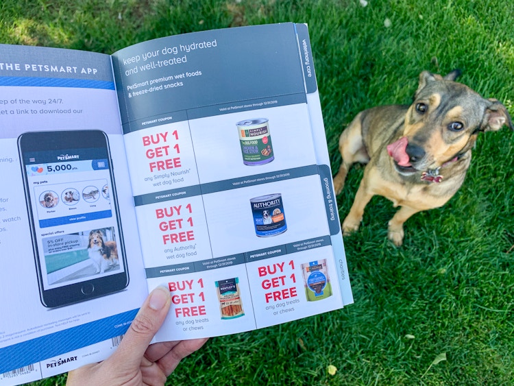 someone holding Petsmart coupons in front of a dog