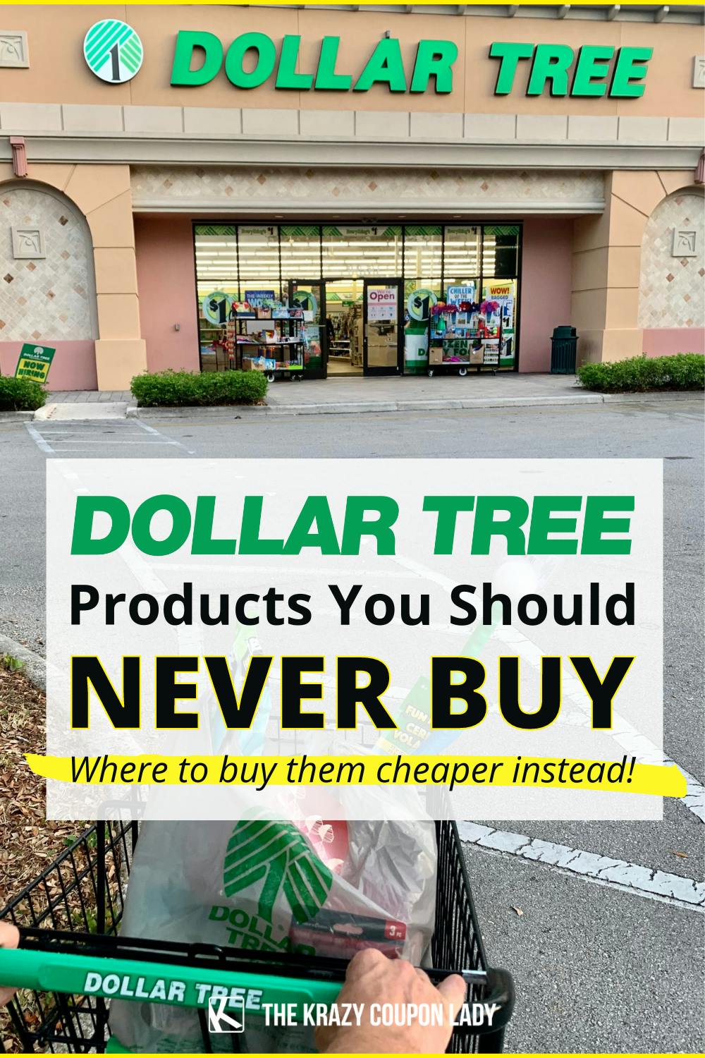 Stop Buying These 10 Dollar Tree Products ASAP!
