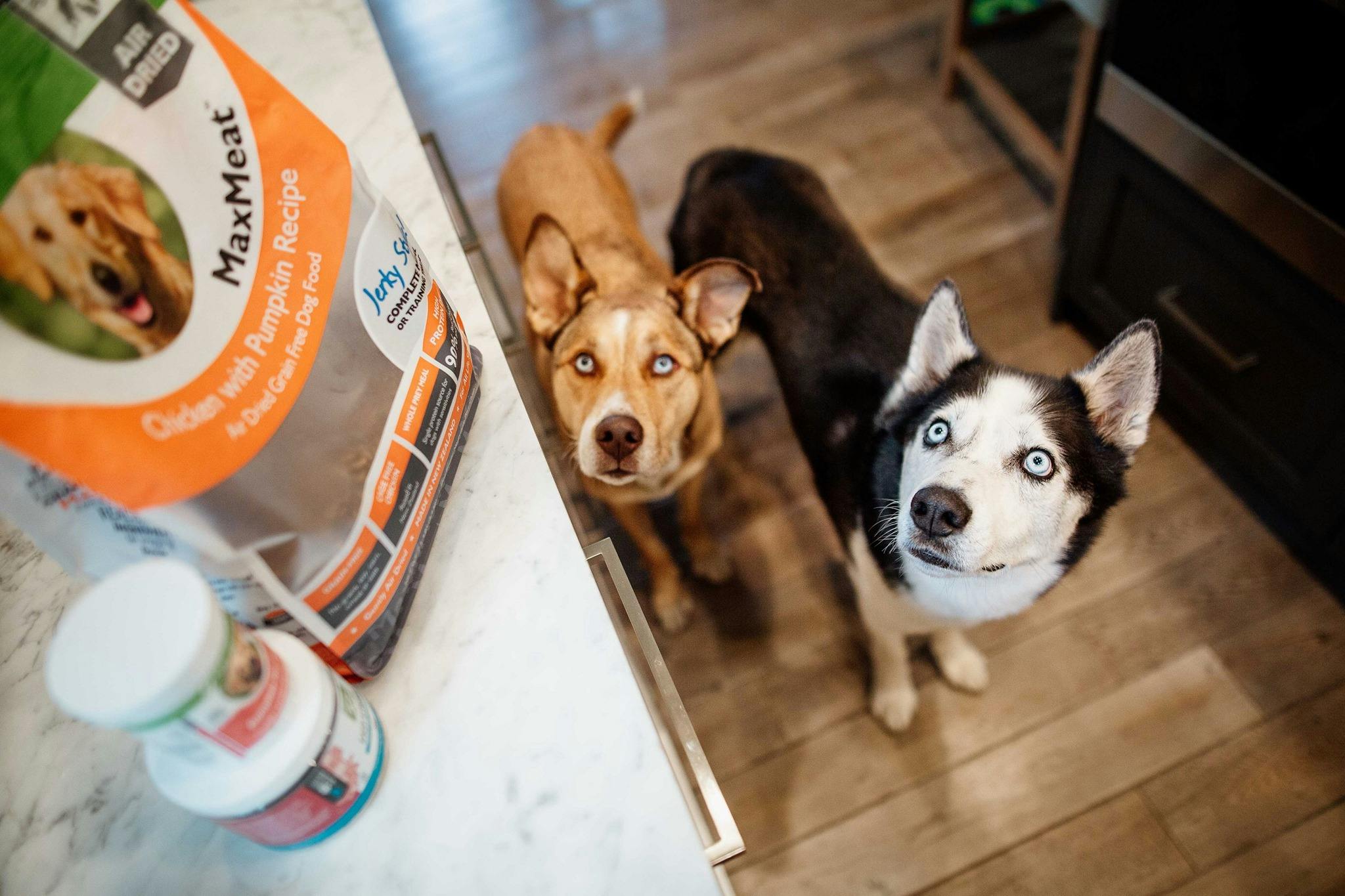 Walmart Pet Care Get a Healthy Pet and a Heavier Wallet The Krazy