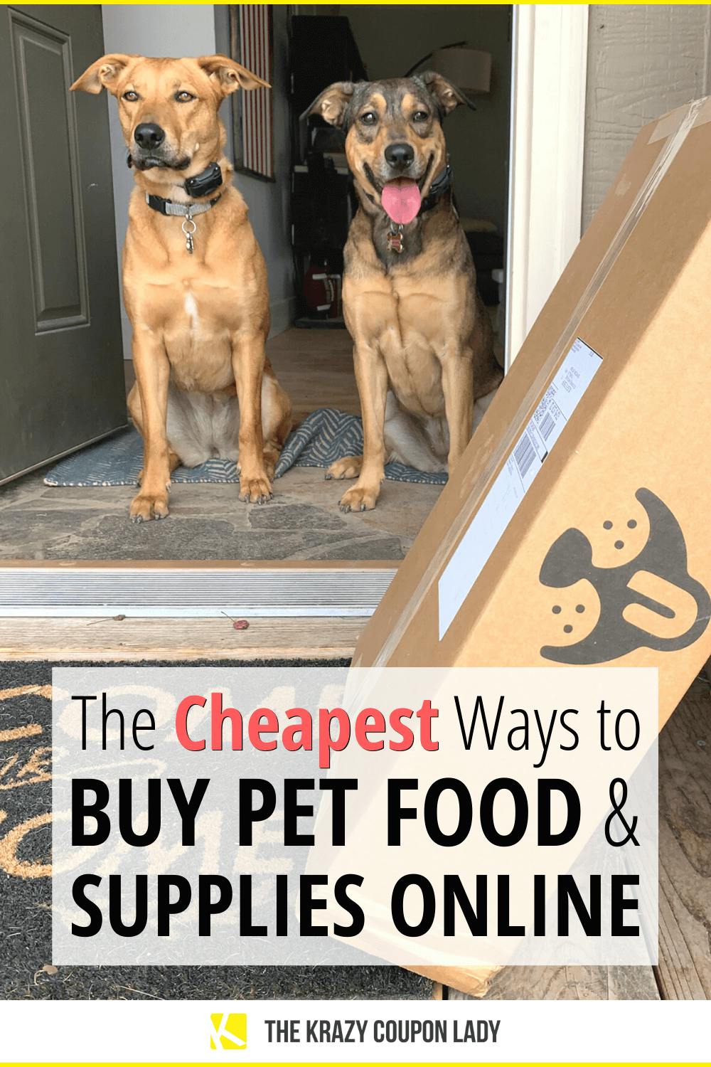 cheap dog supplies online