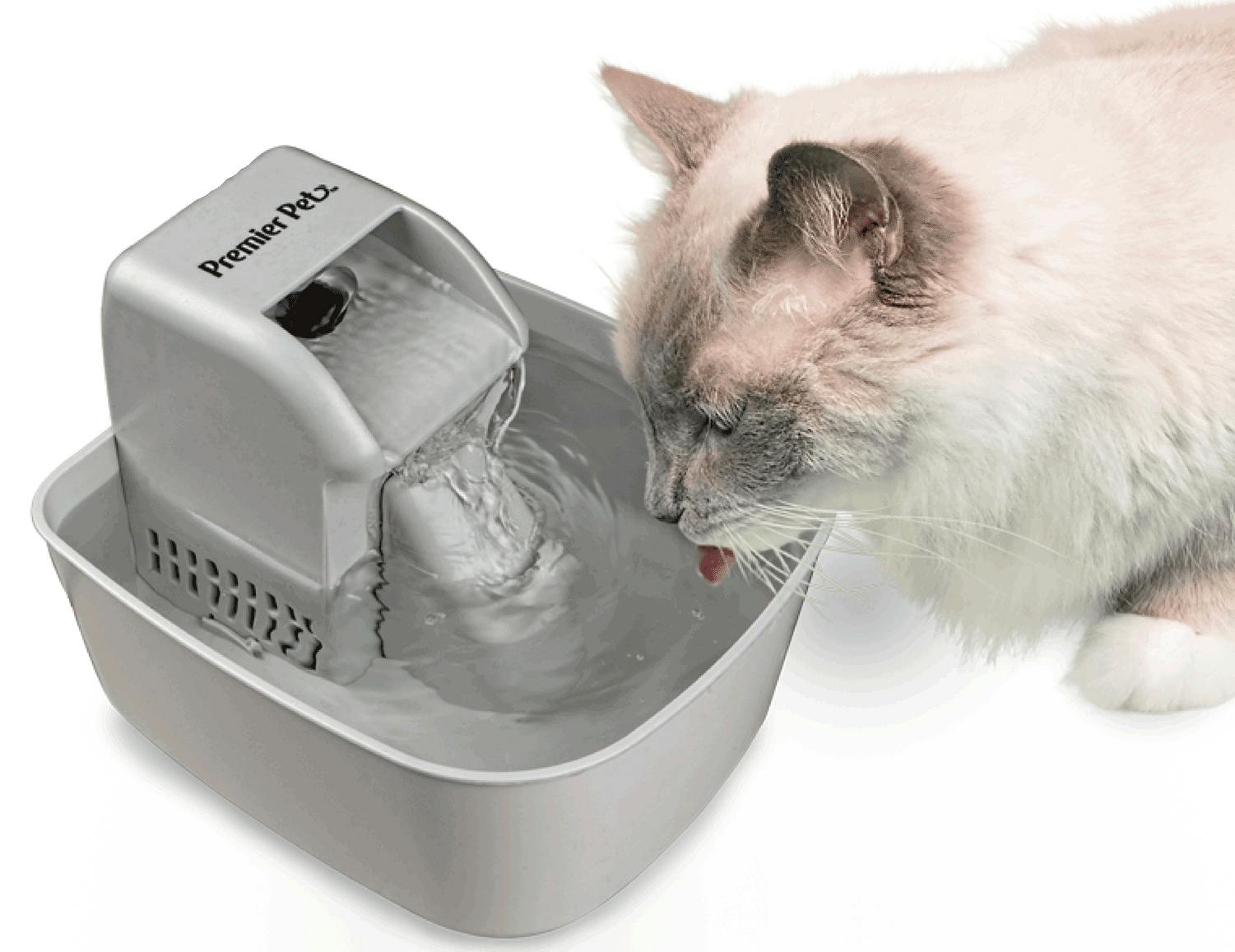 premier pet water fountain