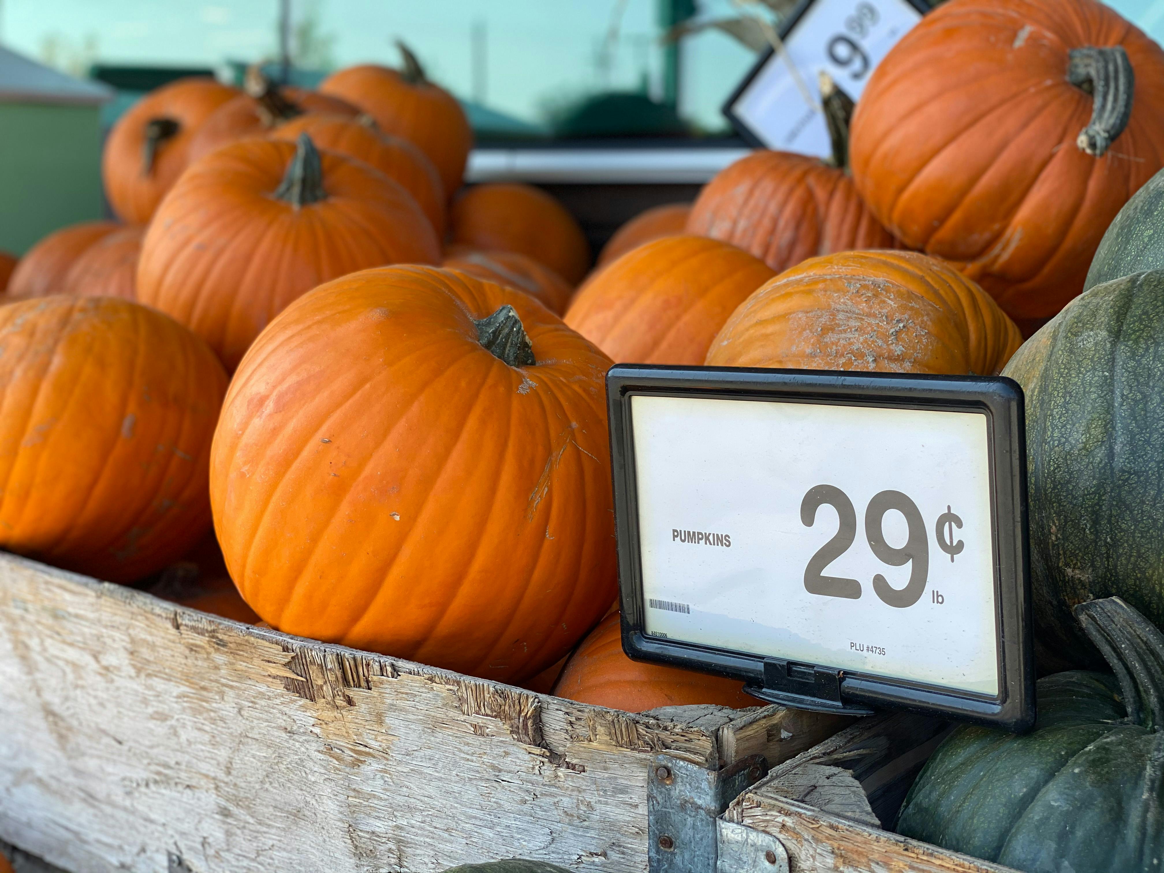 Here Are the Best Prices on Pumpkins (We Checked) The Krazy Coupon Lady