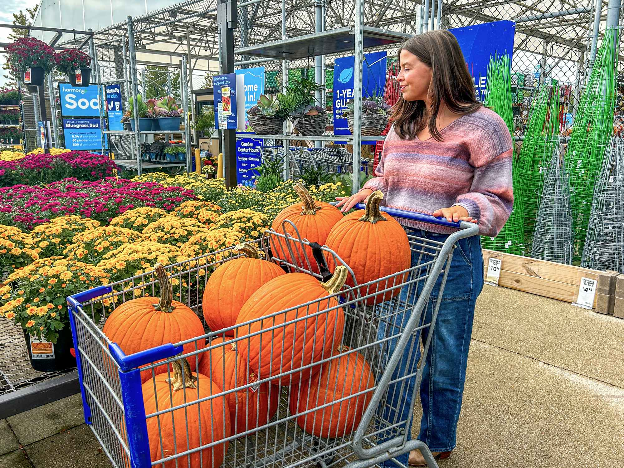 a person pushing a cart full of pumpkins at lowes