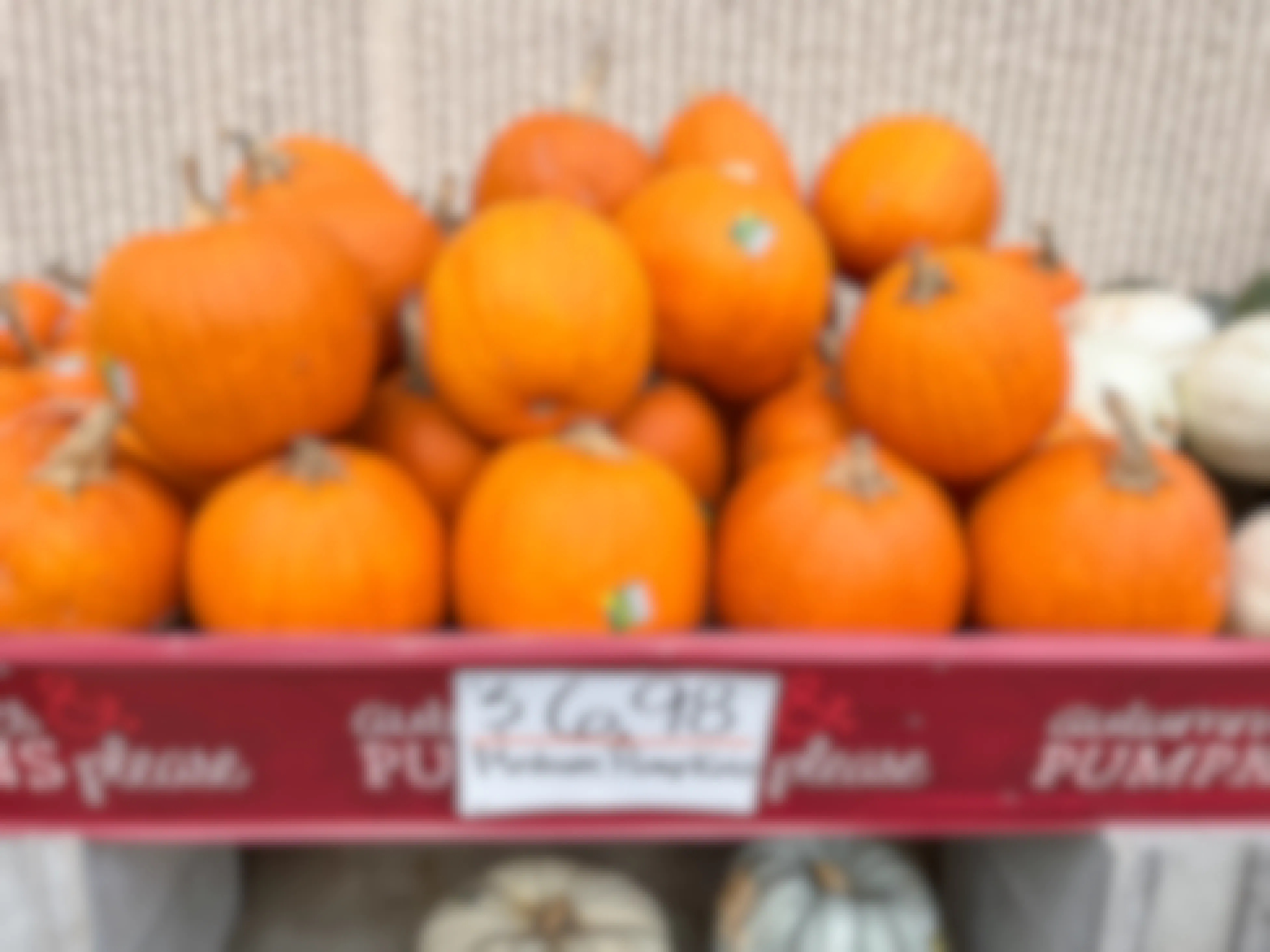 A large display of pumpkins outside of a Home Depot with a price sign of $6.98