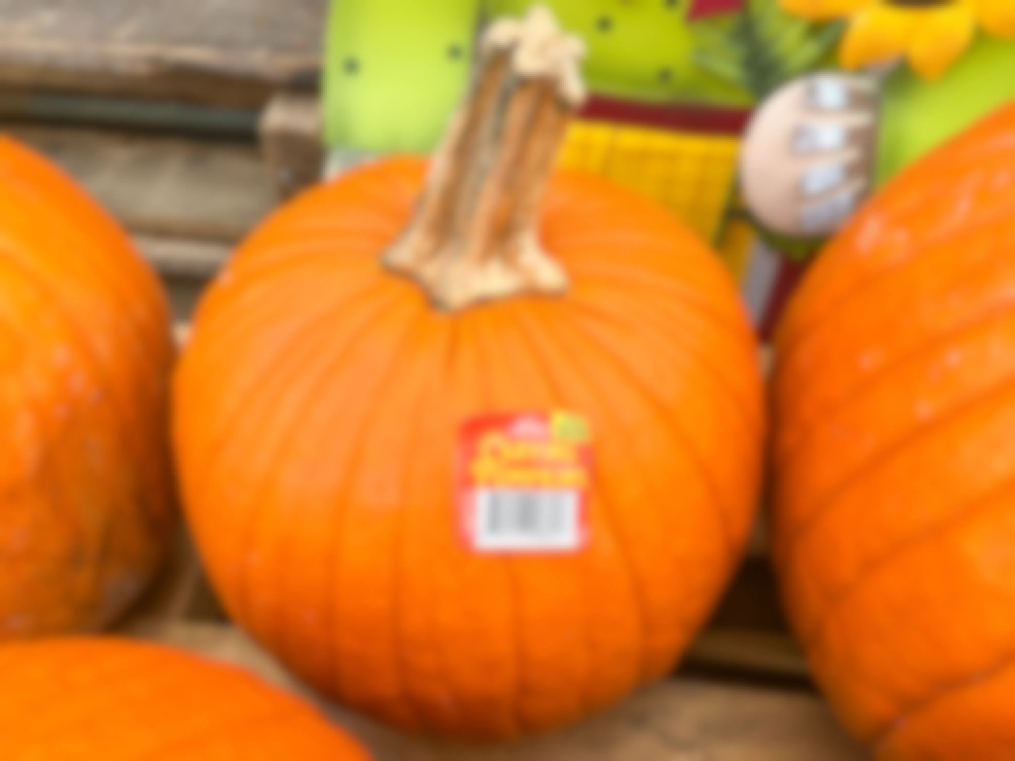 A carving pumpkin on a display outside of Lowe's with a $8.98 price tag