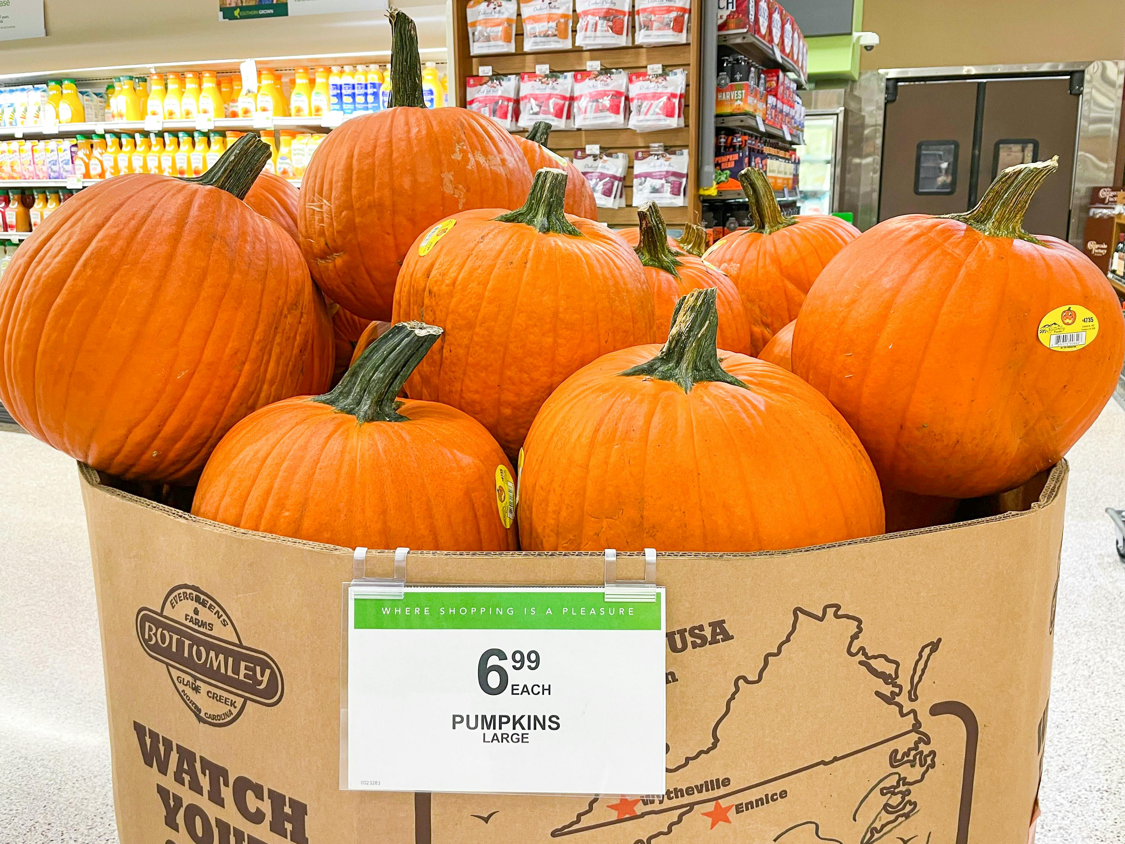 where to buy pumpkins near me 2020