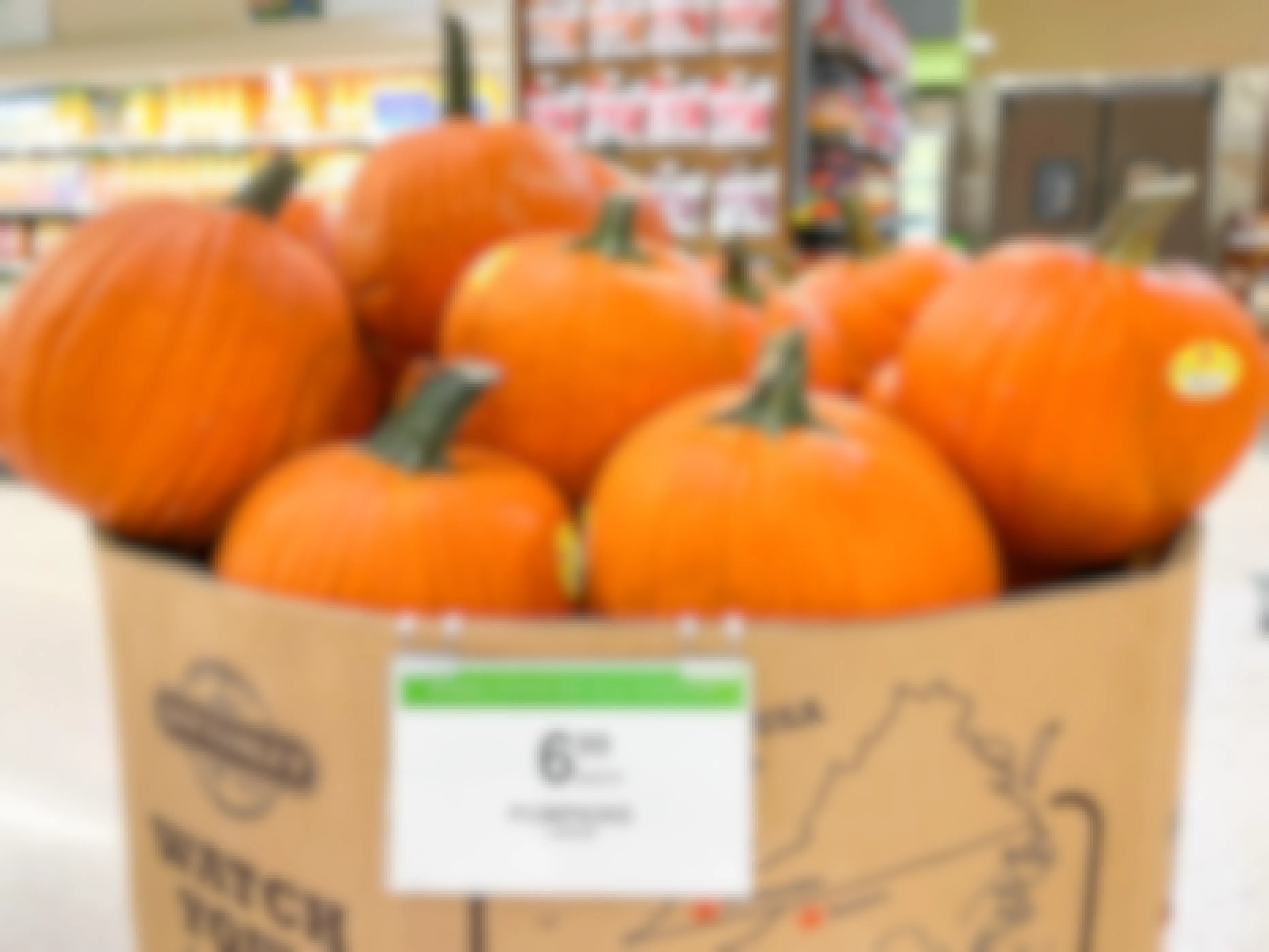A large box of pumpkins for sale inside Publix