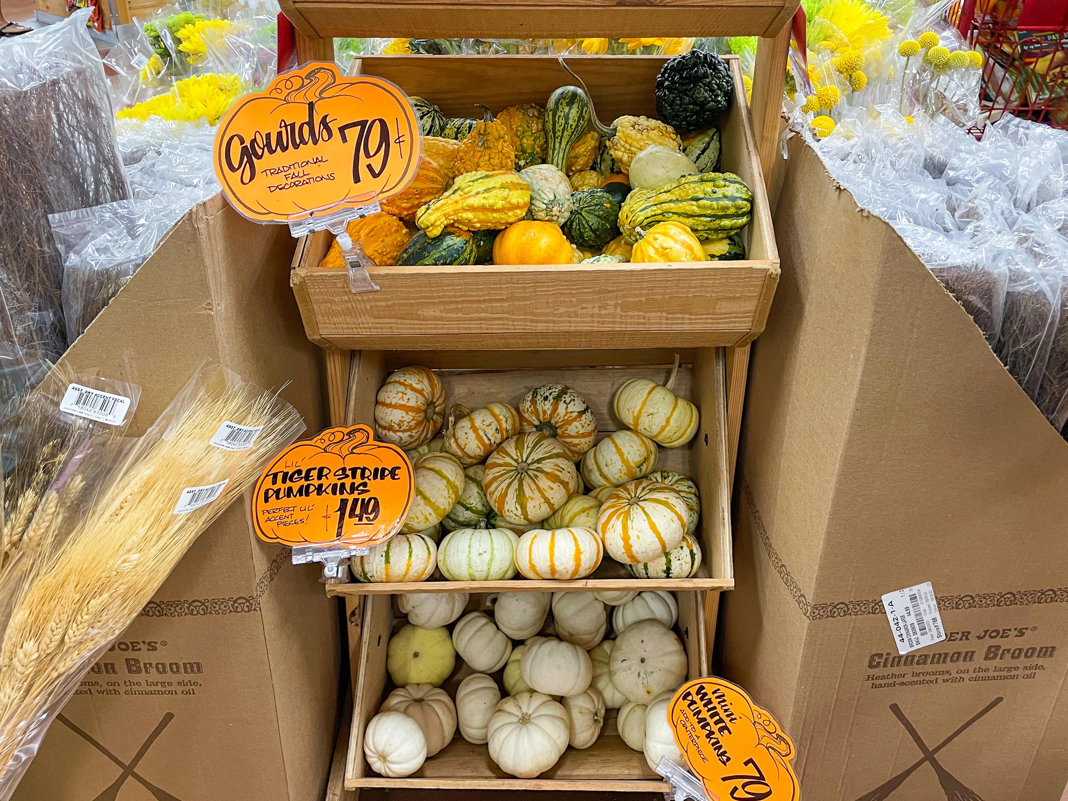 Where to Buy Pumpkins Near Me The Krazy Coupon Lady