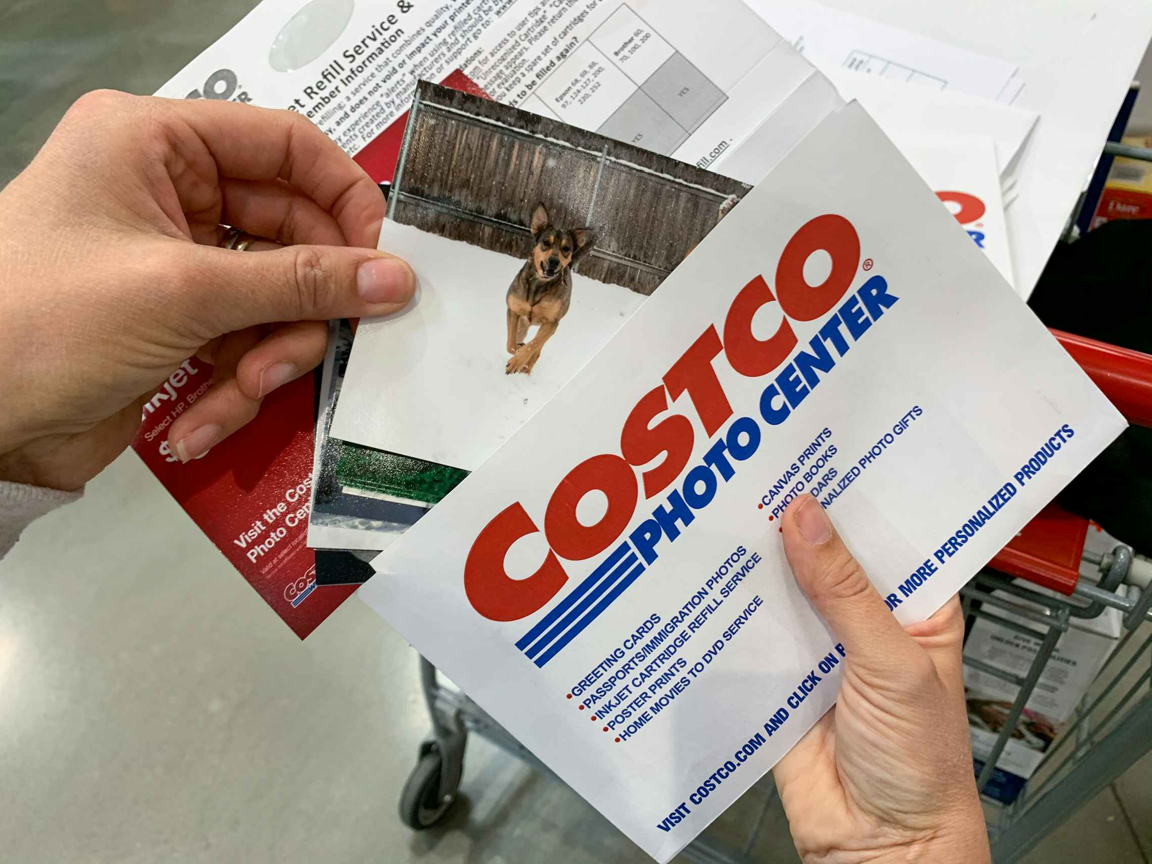 4x6 prints being pulled from a costco photo envelop.